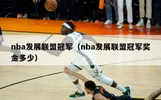 nba发展联盟冠军（nba发展联盟冠军奖金多少）