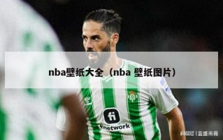 nba壁纸大全（nba 壁纸图片）