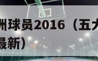 五大联赛亚洲球员2016（五大联赛亚洲球员身价榜单最新）