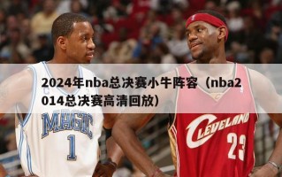 2024年nba总决赛小牛阵容（nba2014总决赛高清回放）