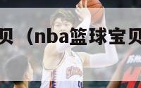 nba篮球宝贝（nba篮球宝贝工资有多高）