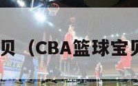 cba篮球宝贝（CBA篮球宝贝年薪多少）