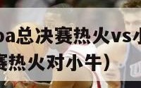 2024年nba总决赛热火vs小牛录像（nba总决赛热火对小牛）