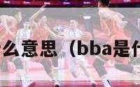 nba是什么意思（bba是什么意思）