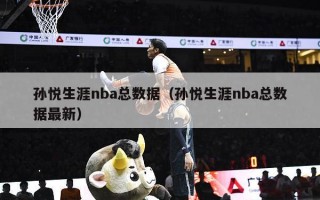 孙悦生涯nba总数据（孙悦生涯nba总数据最新）