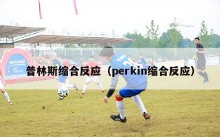 普林斯缩合反应（perkin缩合反应）