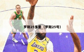 罗斯25多重（罗斯25号）