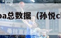 孙悦生涯nba总数据（孙悦cba生涯数据）