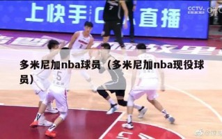 多米尼加nba球员（多米尼加nba现役球员）