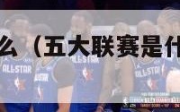 五大联赛是什么（五大联赛是什么时候开始叫的）