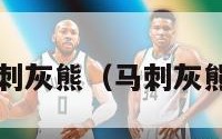 nba马刺灰熊（马刺灰熊2020）