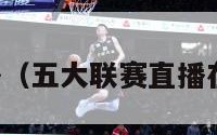 五大联赛直播（五大联赛直播在线观看免费）