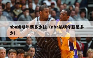 nba姚明年薪多少钱（nba姚明年薪是多少）