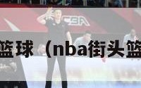 nba街头篮球（nba街头篮球4下载）