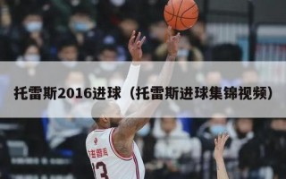 托雷斯2016进球（托雷斯进球集锦视频）