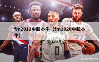 fm2012中超小牛（fm2020中超小牛）