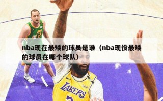 nba现在最矮的球员是谁（nba现役最矮的球员在哪个球队）