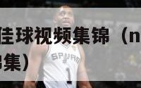 nba100佳球视频集锦（nba100佳球绝杀锦集）