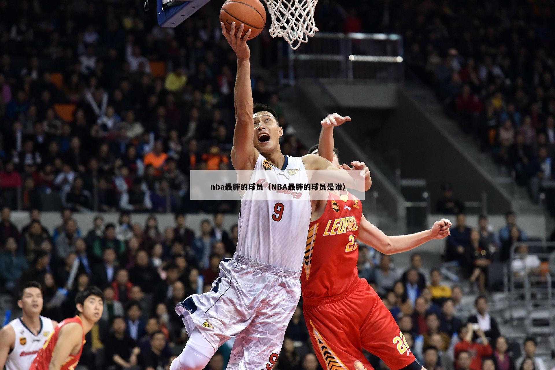 nba最胖的球员（NBA最胖的球员是谁）-第1张图片-足球直播_足球免费在线高清直播_足球视频在线观看无插件-24直播网