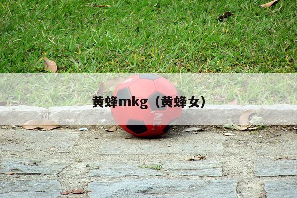 黄蜂mkg（黄蜂女）-第1张图片-足球直播_足球免费在线高清直播_足球视频在线观看无插件-24直播网