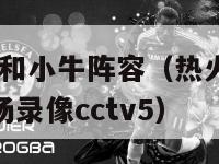 2024年热火和小牛阵容（热火对小牛总决赛第一场全场录像cctv5）-第1张图片-足球直播_足球免费在线高清直播_足球视频在线观看无插件-24直播网