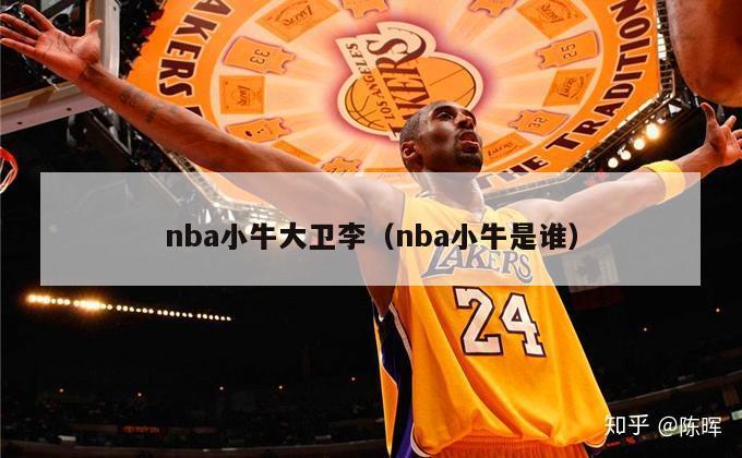 nba小牛大卫李（nba小牛是谁）-第1张图片-足球直播_足球免费在线高清直播_足球视频在线观看无插件-24直播网