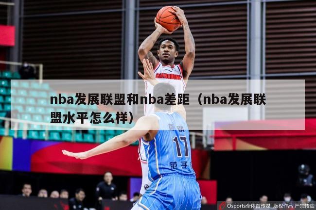 nba发展联盟和nba差距（nba发展联盟水平怎么样）-第1张图片-足球直播_足球免费在线高清直播_足球视频在线观看无插件-24直播网