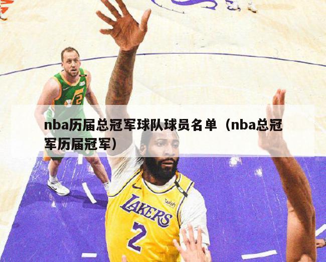 nba历届总冠军球队球员名单（nba总冠军历届冠军）-第1张图片-足球直播_足球免费在线高清直播_足球视频在线观看无插件-24直播网