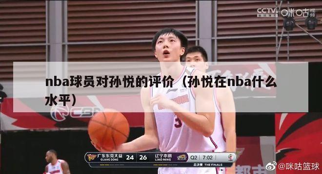 nba球员对孙悦的评价（孙悦在nba什么水平）-第1张图片-足球直播_足球免费在线高清直播_足球视频在线观看无插件-24直播网