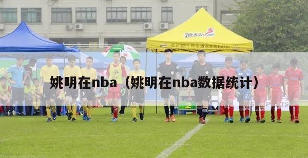 姚明在nba（姚明在nba数据统计）-第1张图片-足球直播_足球免费在线高清直播_足球视频在线观看无插件-24直播网