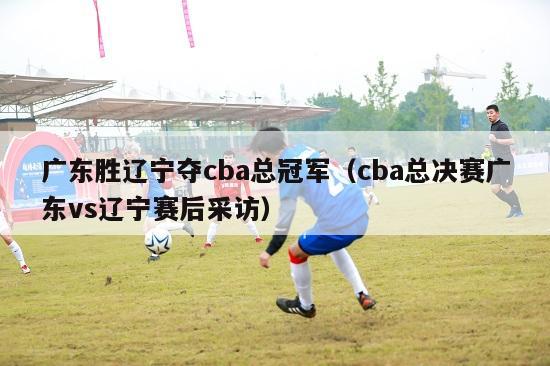 广东胜辽宁夺cba总冠军（cba总决赛广东vs辽宁赛后采访）-第1张图片-足球直播_足球免费在线高清直播_足球视频在线观看无插件-24直播网