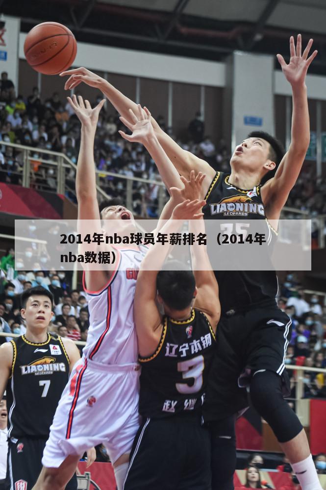 2014年nba球员年薪排名（2014年nba数据）-第1张图片-足球直播_足球免费在线高清直播_足球视频在线观看无插件-24直播网