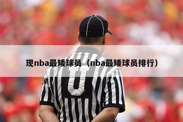 现nba最矮球员（nba最矮球员排行）-第1张图片-足球直播_足球免费在线高清直播_足球视频在线观看无插件-24直播网