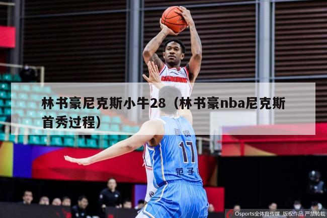 林书豪尼克斯小牛28（林书豪nba尼克斯首秀过程）-第1张图片-足球直播_足球免费在线高清直播_足球视频在线观看无插件-24直播网