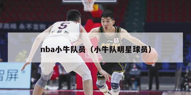 nba小牛队员（小牛队明星球员）-第1张图片-足球直播_足球免费在线高清直播_足球视频在线观看无插件-24直播网