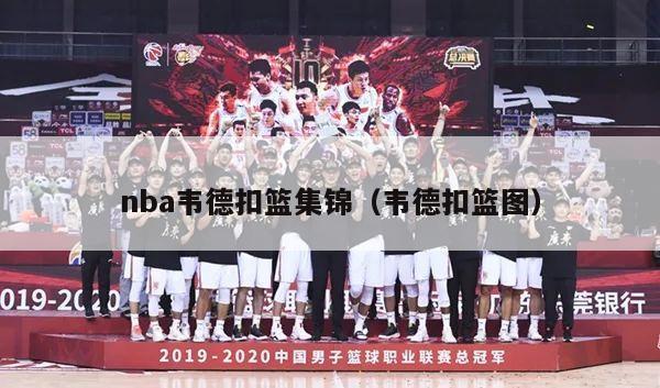 nba韦德扣篮集锦（韦德扣篮图）-第1张图片-足球直播_足球免费在线高清直播_足球视频在线观看无插件-24直播网