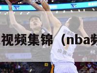 nba新浪视频集锦（nba频道新浪）-第1张图片-足球直播_足球免费在线高清直播_足球视频在线观看无插件-24直播网