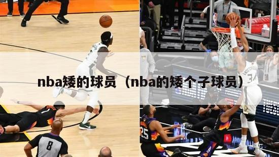 nba矮的球员（nba的矮个子球员）-第1张图片-足球直播_足球免费在线高清直播_足球视频在线观看无插件-24直播网