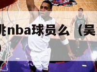 吴悠可以单挑nba球员么（吴悠可以单挑nba球员么吗）-第1张图片-足球直播_足球免费在线高清直播_足球视频在线观看无插件-24直播网