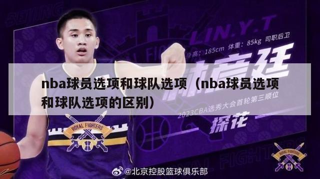 nba球员选项和球队选项（nba球员选项和球队选项的区别）-第1张图片-足球直播_足球免费在线高清直播_足球视频在线观看无插件-24直播网