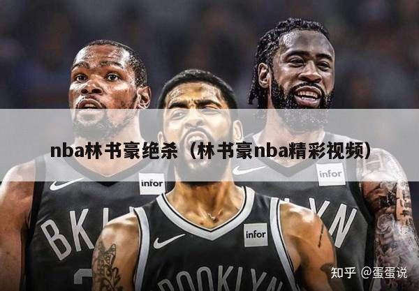 nba林书豪绝杀（林书豪nba精彩视频）-第1张图片-足球直播_足球免费在线高清直播_足球视频在线观看无插件-24直播网