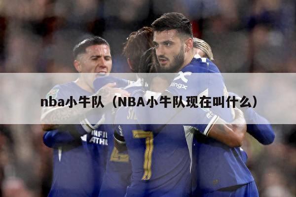 nba小牛队（NBA小牛队现在叫什么）-第1张图片-足球直播_足球免费在线高清直播_足球视频在线观看无插件-24直播网