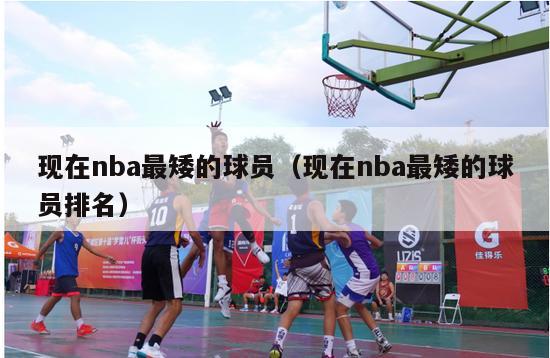 现在nba最矮的球员（现在nba最矮的球员排名）-第1张图片-足球直播_足球免费在线高清直播_足球视频在线观看无插件-24直播网