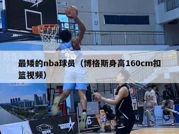 最矮的nba球员（博格斯身高160cm扣篮视频）-第1张图片-足球直播_足球免费在线高清直播_足球视频在线观看无插件-24直播网