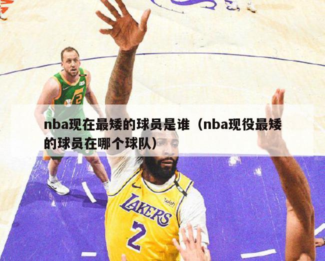 nba现在最矮的球员是谁（nba现役最矮的球员在哪个球队）-第1张图片-足球直播_足球免费在线高清直播_足球视频在线观看无插件-24直播网