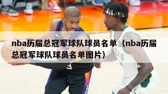 nba历届总冠军球队球员名单（nba历届总冠军球队球员名单图片）-第1张图片-足球直播_足球免费在线高清直播_足球视频在线观看无插件-24直播网