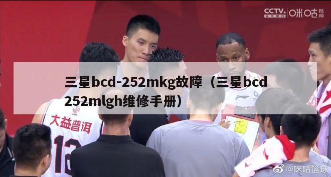 三星bcd-252mkg故障（三星bcd252mlgh维修手册）-第1张图片-足球直播_足球免费在线高清直播_足球视频在线观看无插件-24直播网