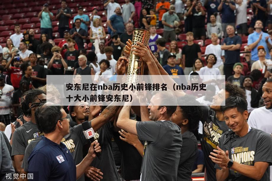 安东尼在nba历史小前锋排名（nba历史十大小前锋安东尼）-第1张图片-足球直播_足球免费在线高清直播_足球视频在线观看无插件-24直播网