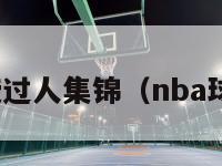 nba教授过人集锦（nba球星教授）-第1张图片-足球直播_足球免费在线高清直播_足球视频在线观看无插件-24直播网