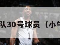 nba小牛队30号球员（小牛队33号）-第1张图片-足球直播_足球免费在线高清直播_足球视频在线观看无插件-24直播网